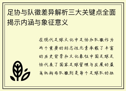 足协与队徽差异解析三大关键点全面揭示内涵与象征意义 足协与队徽差异解析三大关键点全面揭示内涵与象征意义