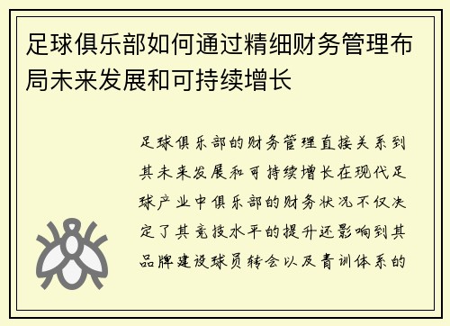足球俱乐部如何通过精细财务管理布局未来发展和可持续增长 足球俱乐部如何通过精细财务管理布局未来发展和可持续增长
